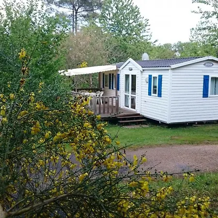 Camping Mobil-home Convivial, Animaux Admis - 6 Pers. - Api-1-52-2309 La Chapelle-Aubareil